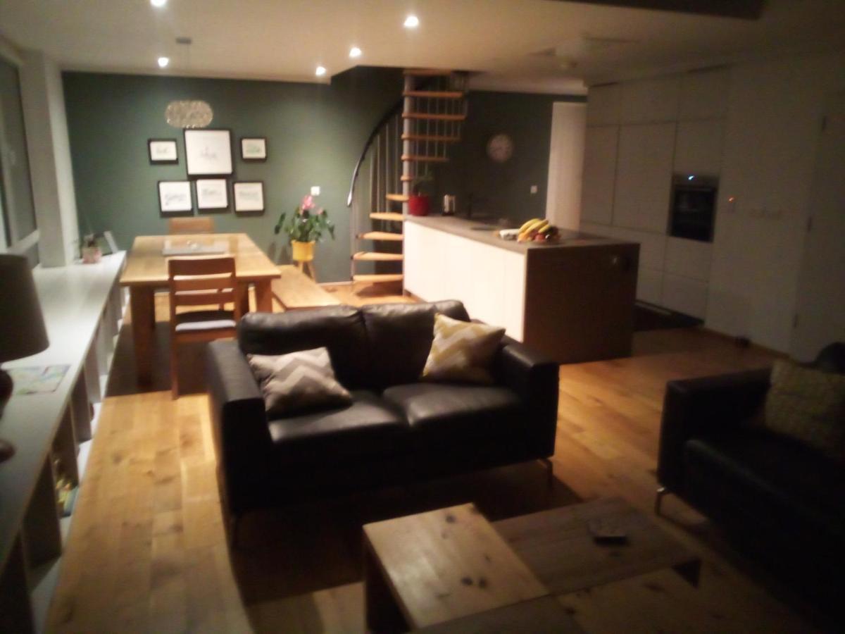 Spacious Contemporary Chalet Type Apartment. Galway Exterior foto